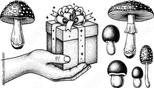 Vintage butterfly and moth engraving collection with celestial star accents vector