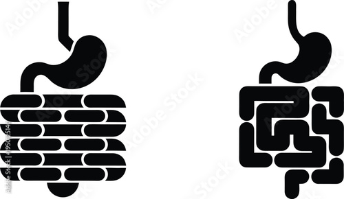 Human Digestive System Stomach and Intestines Icon