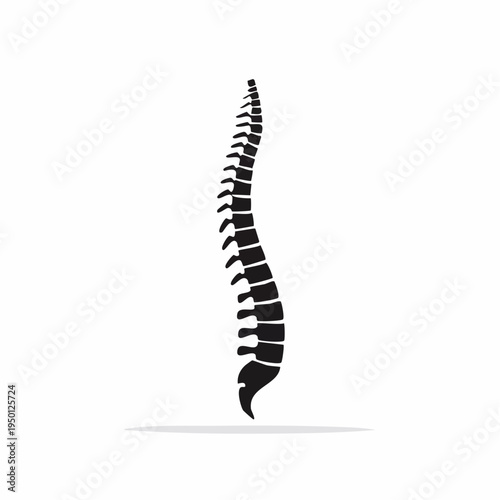 Minimalist black silhouette icon of the human spine, a fundamental anatomical structure representing medical health, body support, and overall well-being