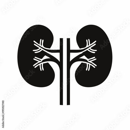 Stylized medical graphic depicting human kidneys with renal vessels, symbolizing vital organ function, health, and anatomy