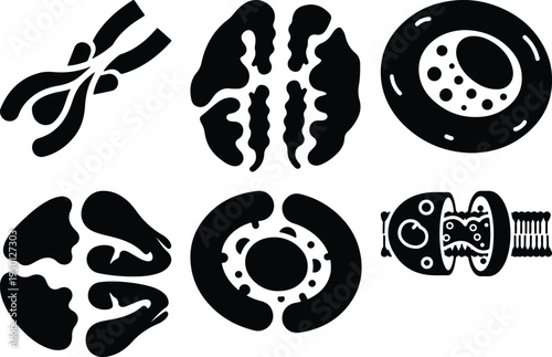 Cellular Organelles Icons Set Biological Structures Vector Graphics
