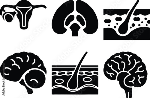 Human Anatomy Icons: Brain Reproductive System Skin Layers Kidney