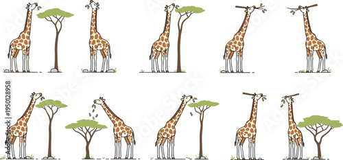 Cute giraffe feeding from acacia tree wildlife savanna animal cartoon collection flat vector illustration set