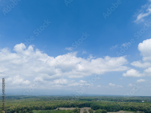 High angle perspective of vast blue sky and fluffy clouds over tropical teak forest landscape.