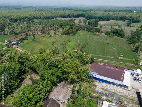Nadir aerial perspective showing a stark contrast between a dense forest canopy and a geometric pattern of agricultural fields.