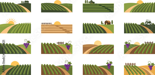 Vineyard landscape banners with grape fields countryside hills sunrise farm agriculture flat vector illustration collection