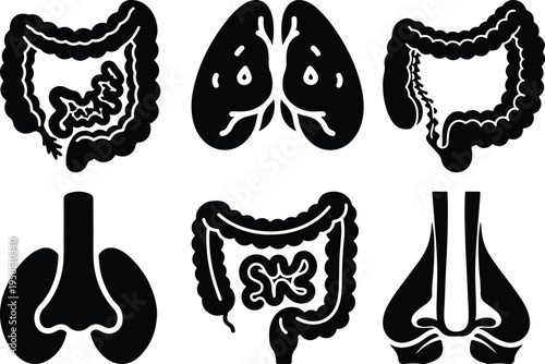 Human Internal Organs Icons Set: Lungs Intestines Stomach Trachea ColonStock Graphics