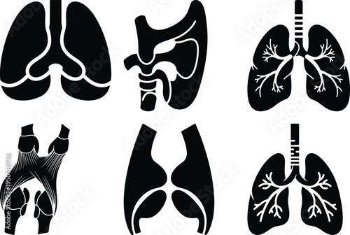 Human Lungs and Joints Anatomical Diagrams Black Vector Illustrations