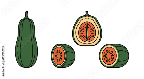 Wax Gourd Line art vector set clean dynamic abstract