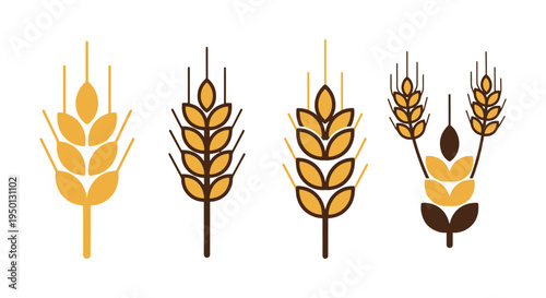 Wheat Grains Line art vector simple artistic abstract color illustration