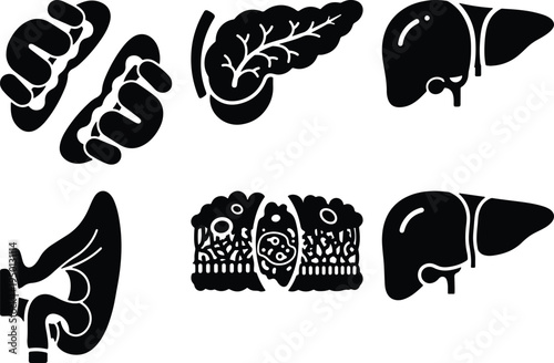 Human Organ Icons: Kidney Pancreas Liver Intestine Cell LayersStock Graphics