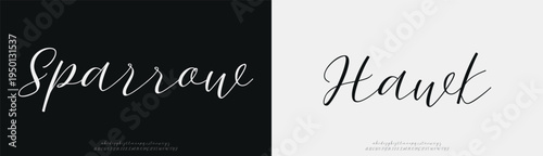 Sparrow Hawk, Hand drawn vector alphabet. Modern monoline signature script font. Elegant Signature Font. Best Alphabet Beautiful Calligraphy Signature Font
