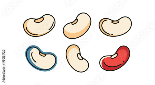 White Bean Line art vector creative color harmony abstract illustration