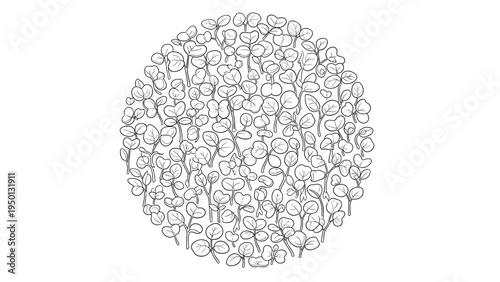 Artistic line drawing of a dense circular cluster of small green leaves and sprouts resembling a lush patch of microgreens.