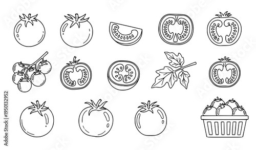 Tomato vegetable doodle icon set with fresh whole sliced and cherry tomato outline clipart symbols