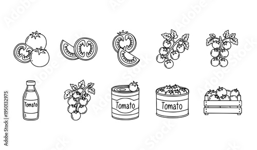 Fresh tomato doodle outline icon collection with sliced tomato cherry vine and vegetable symbols