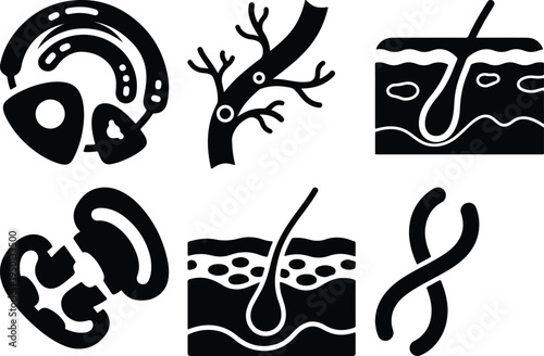 Medical Icons: Ear Blood Vessel Skin Layers Hair Follicle DNA Medical InstrumentStock Illustration