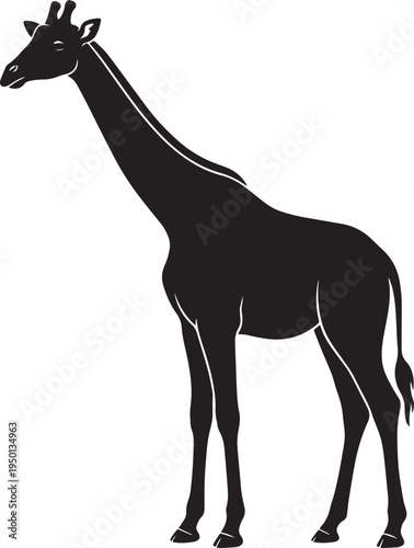 Walking Giraffe Silhouette Safari Animal 