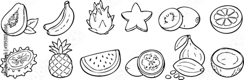 Hand drawn tropical fruit collection in outline style. Set of banana, papaya, dragon fruit, pineapple, watermelon, kiwi and other fruits. Perfect for coloring pages, menus, packaging, and food design