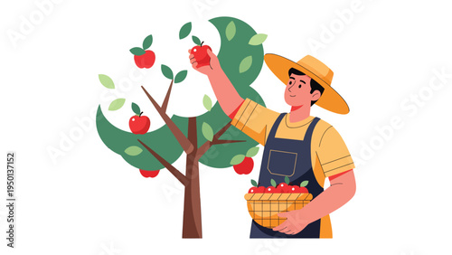 Harvesting Apples: A farmer is diligently gathering ripe red apples from the branches of an apple tree on a sun-drenched day