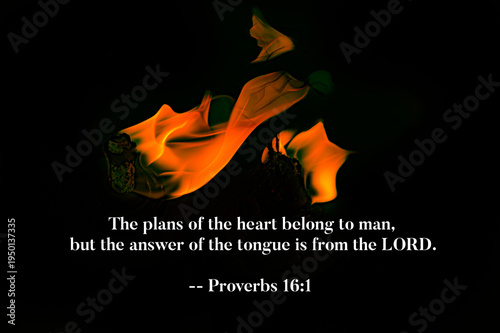 Proverbs 16 1
