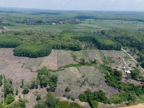 Aerial view of lush teak forest canopy and community plantation in Ngawi, East Java, Indonesia.