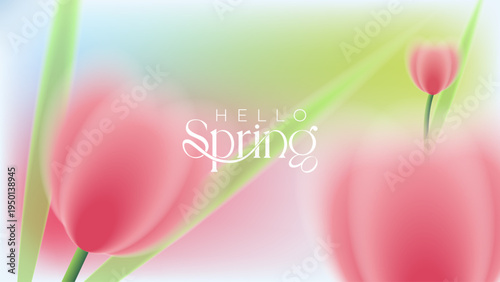 Soft focus pink tulips with green leaves on a pastel gradient background, featuring shallow depth of field and minimal composition. Elegant spring floral scene ideal for banners, greeting cards