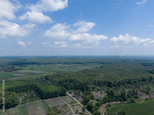 Aerial landscape of sustainable community forest and teakwood plantation under a clear blue sky.