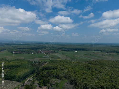 Aerial landscape of sustainable community forest and teakwood plantation under a clear blue sky.