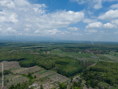 Aerial landscape of sustainable community forest and teakwood plantation under a clear blue sky.