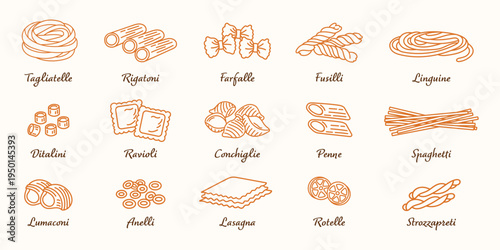Italian pasta types set. Collection of traditional pasta: spaghetti, rigatoni, fusilli, farfalle, ravioli and lasagna. Italian cuisine food icons. Vector illustration isolated on light background.