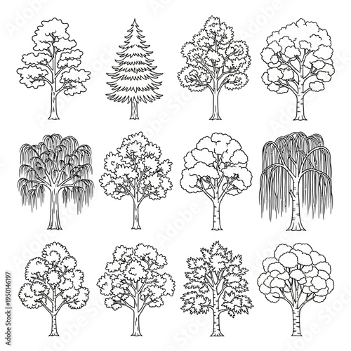 A collection of various tree illustrations.