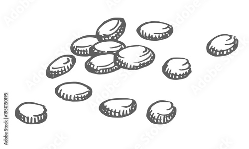 Seeds of the bell pepper. Vector ink styled handmade illustration. For packaging design, cards, cover, prints, product labels and fabric.