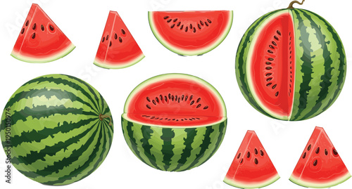 Watermelon fruit set with whole watermelon and juicy slices. Fresh summer watermelon illustrations for dessert, picnic, juice and healthy food design.