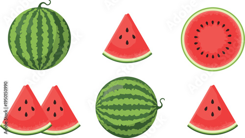 Watermelon fruit collection with whole watermelon, slices and round cut piece. Fresh summer watermelon illustrations for dessert, juice, picnic and healthy food design.