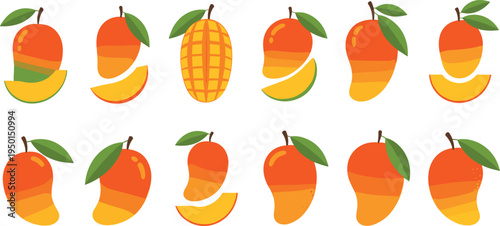 Mango fruit icon collection with whole mangoes, slices and cross cut mango. Fresh tropical mango set for smoothie, dessert, summer fruit and healthy food design.