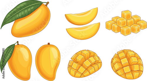 Mango fruit set with whole mango, slices and cubes. Fresh tropical mango illustration collection for dessert, smoothie, healthy food and summer fruit design.