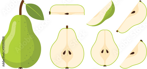 Pear fruit set with whole pear, slices and halves. Fresh green pear illustrations for healthy food, grocery, dessert and organic fruit design.