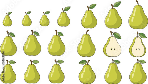 Pear fruit icon collection with whole and cut pears. Fresh green pear illustrations set for healthy food, grocery, dessert and organic fruit design.