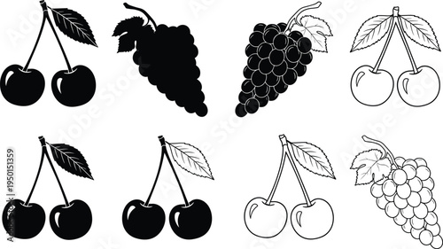 Cherry and grape fruit icon set in silhouette and outline styles. Vintage berry illustrations for food labels, wine design, packaging and organic fruit branding.
