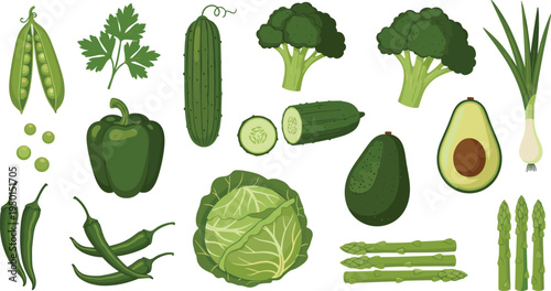 Green vegetable collection with broccoli, cucumber, cabbage, asparagus, avocado and peppers. Fresh organic farm vegetables set for healthy food, diet and grocery design.