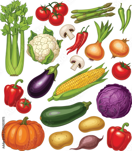 Fresh vegetable collection with tomato, eggplant, corn, cabbage, pumpkin and peppers. Organic farm vegetables set. Healthy food ingredients for cooking and grocery design.
