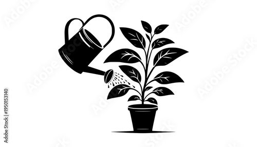 vector illustration of a plant