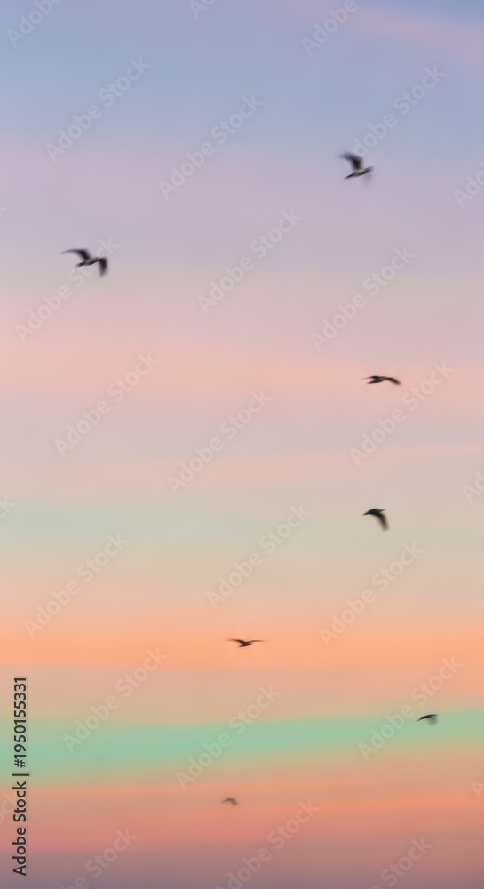 Fototapeta premium Several small birds fly in formation across a soft pastel gradient sky featuring hues of pink, orange, and light blue at twilight.