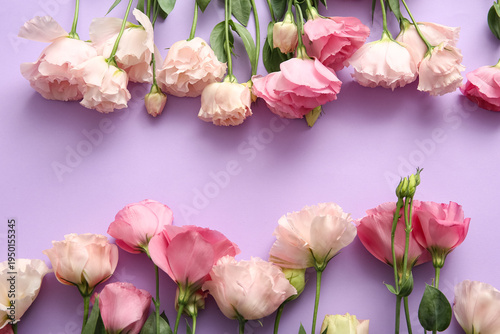 Frame made of beautiful pink eustoma flowers on lilac background, closeup