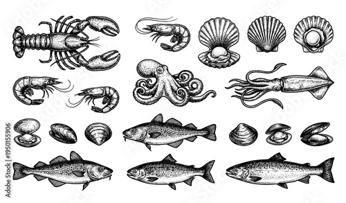 Hand drawn seafood sketch set lobster shrimp squid octopus scallops shellfish fish vector illustration isolated on white background
