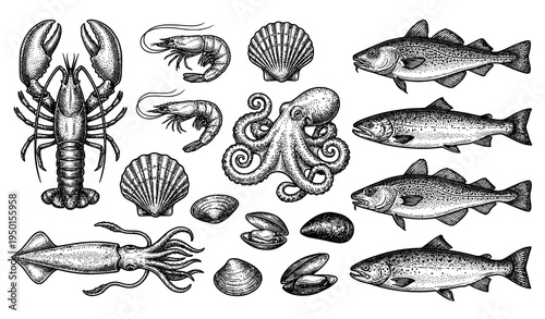 Vintage seafood engraving vector set lobster shrimp squid octopus scallops shellfish fish illustration isolated on white background