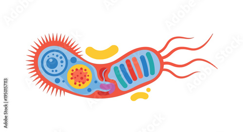 Detailed colorful diagram illustrating the internal and external structures of a bacterium, including flagella, pili, and various cellular components.