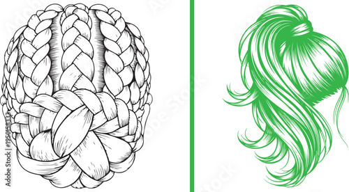 Vector line art depicting a high ponytail with a hair wrap and a vibrant purple silhouette of a classic high bun. Elegant hairstyles perfect for fitness, dance, and professional salon branding.