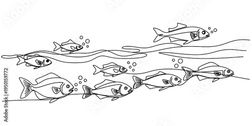 Continuous one line drawing of a school of fish swimming underwater, minimalist sea life vector illustration.